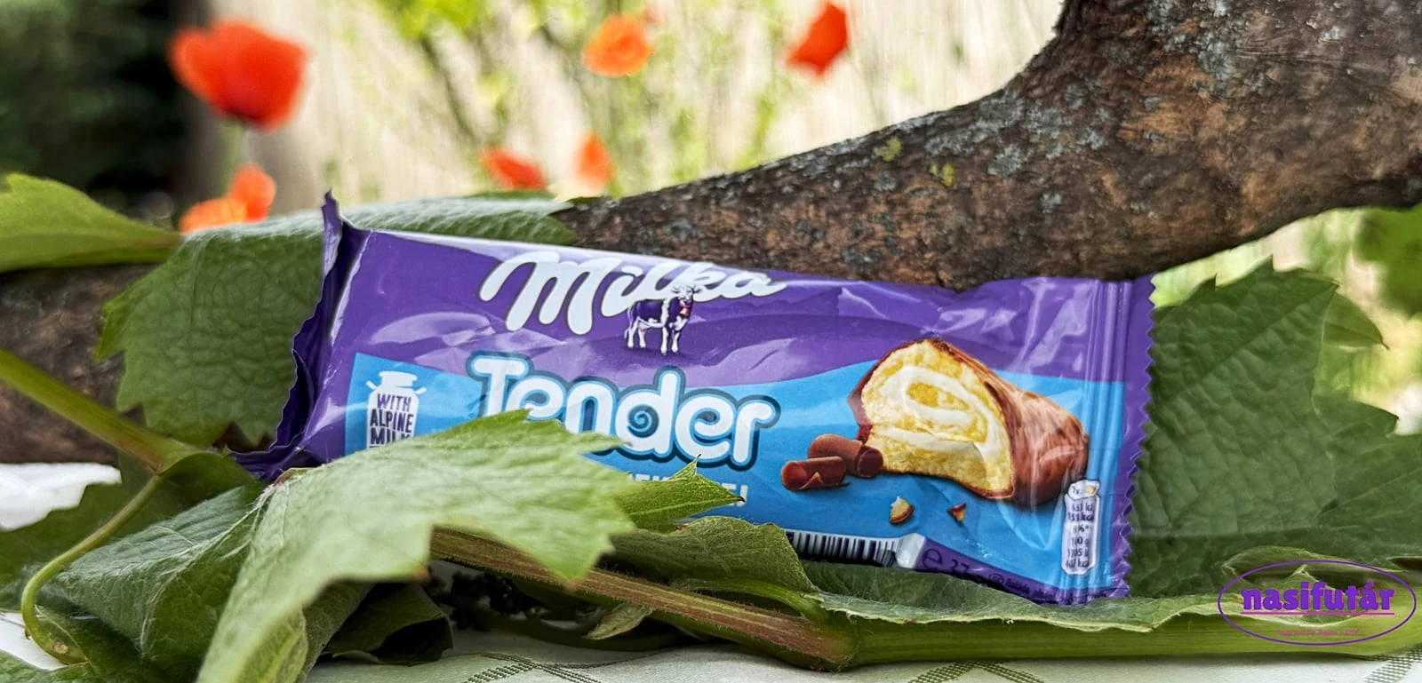 Milka Tender Tej 37g